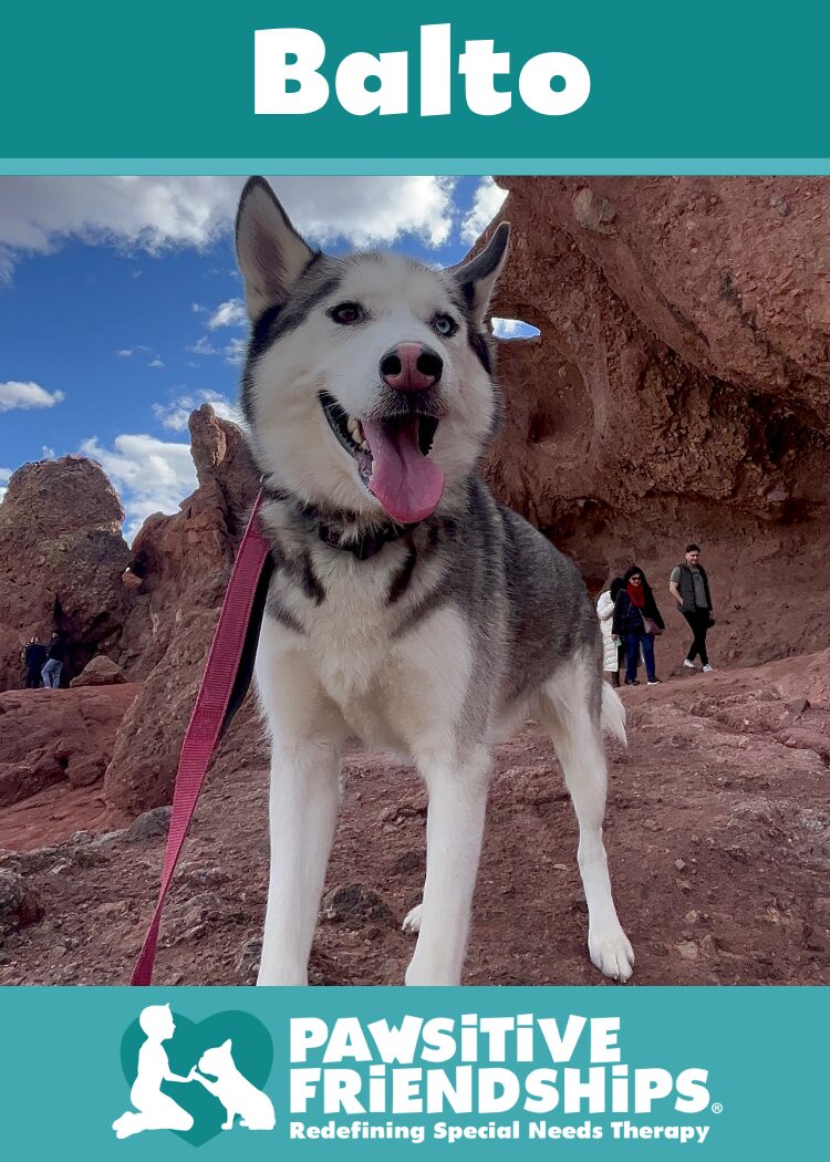 Balto
