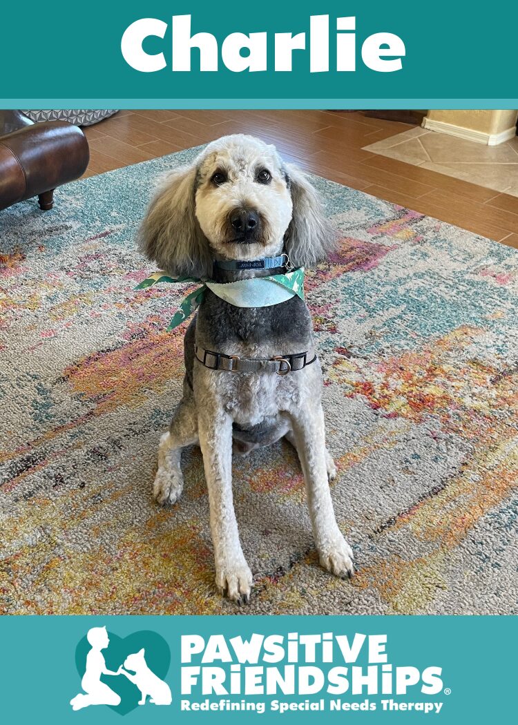 Charlie-tucson