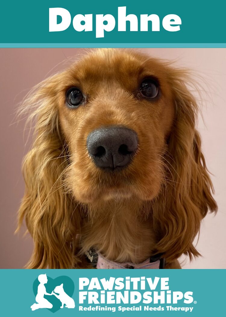 Daphne