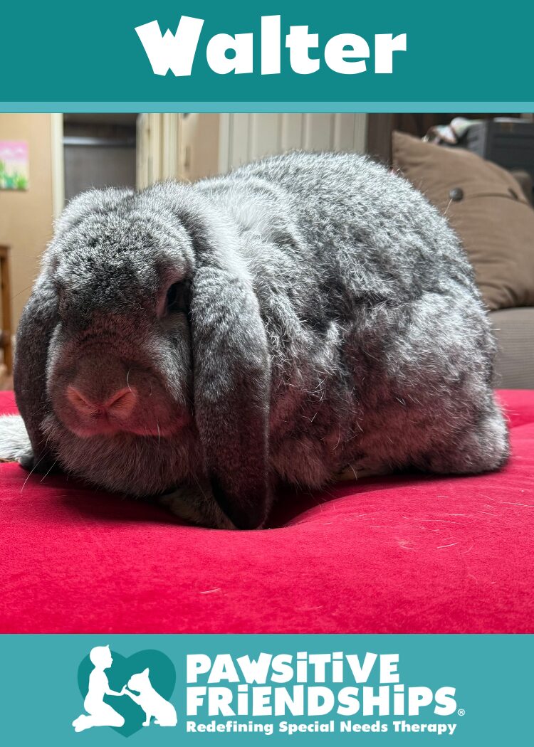 Walter