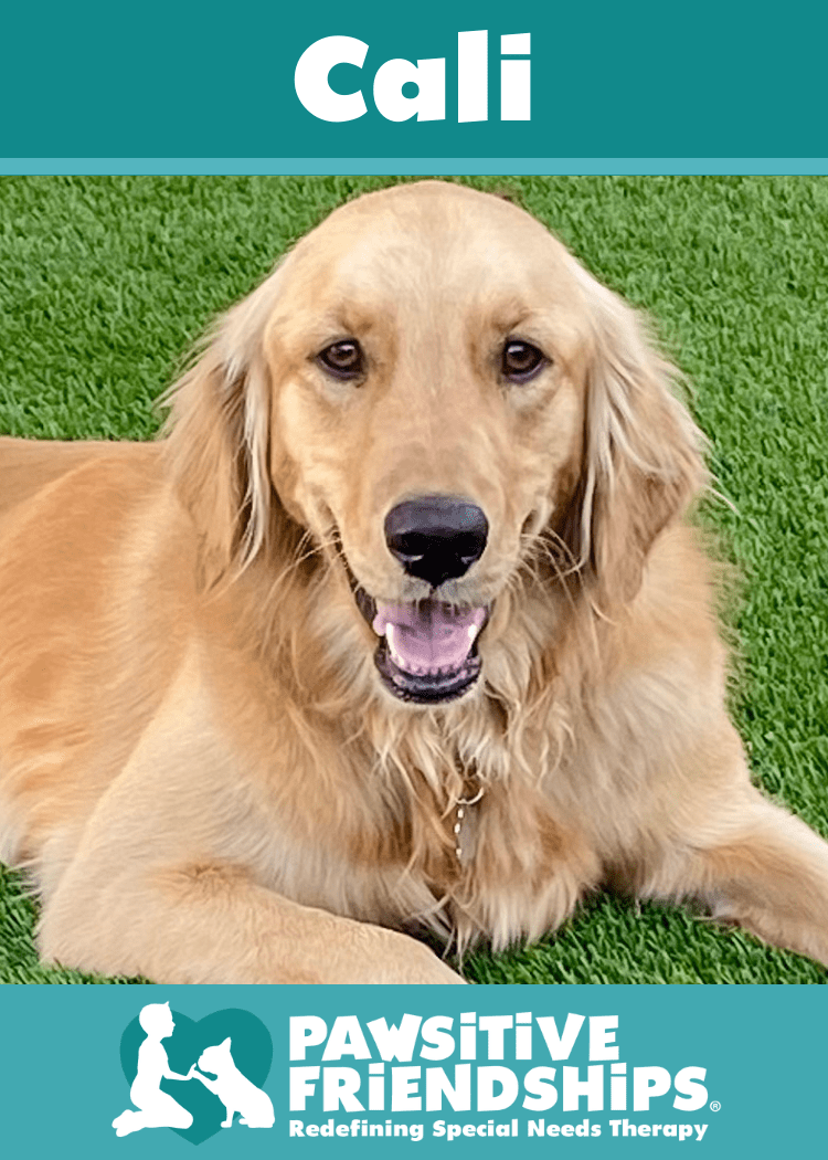 Cali_tripod